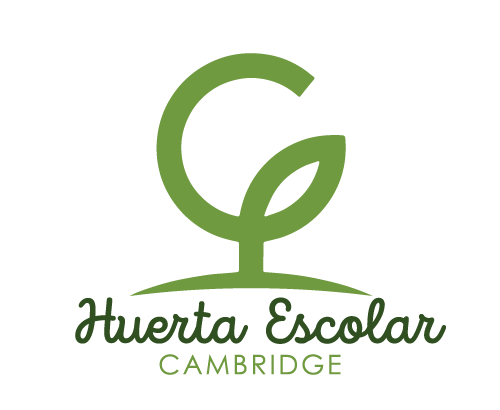 Huerta Escolar